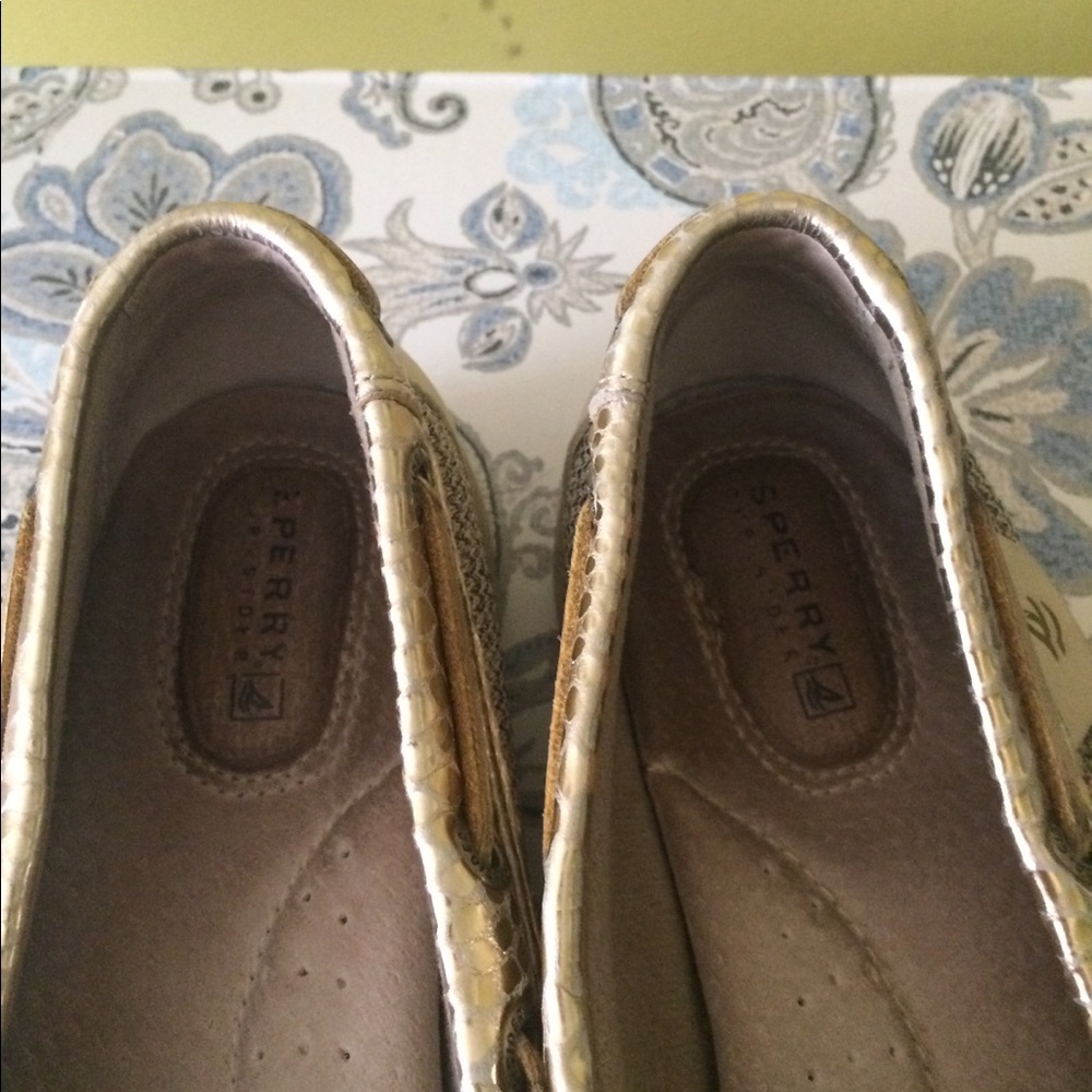 Sperry shoes